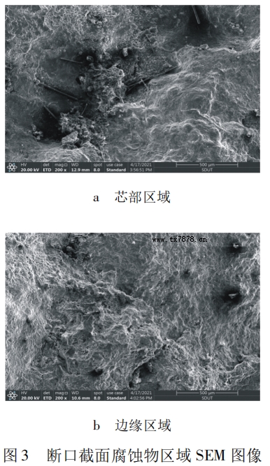 斷口截面腐蝕物區域 SEM 圖像